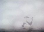 Le Héron et la Cigogne - image 8
